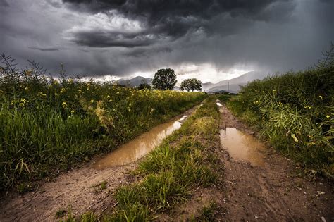 下雨前的景象|超过 1800000 张关于“下雨的景象”和“下雨”的免费图片